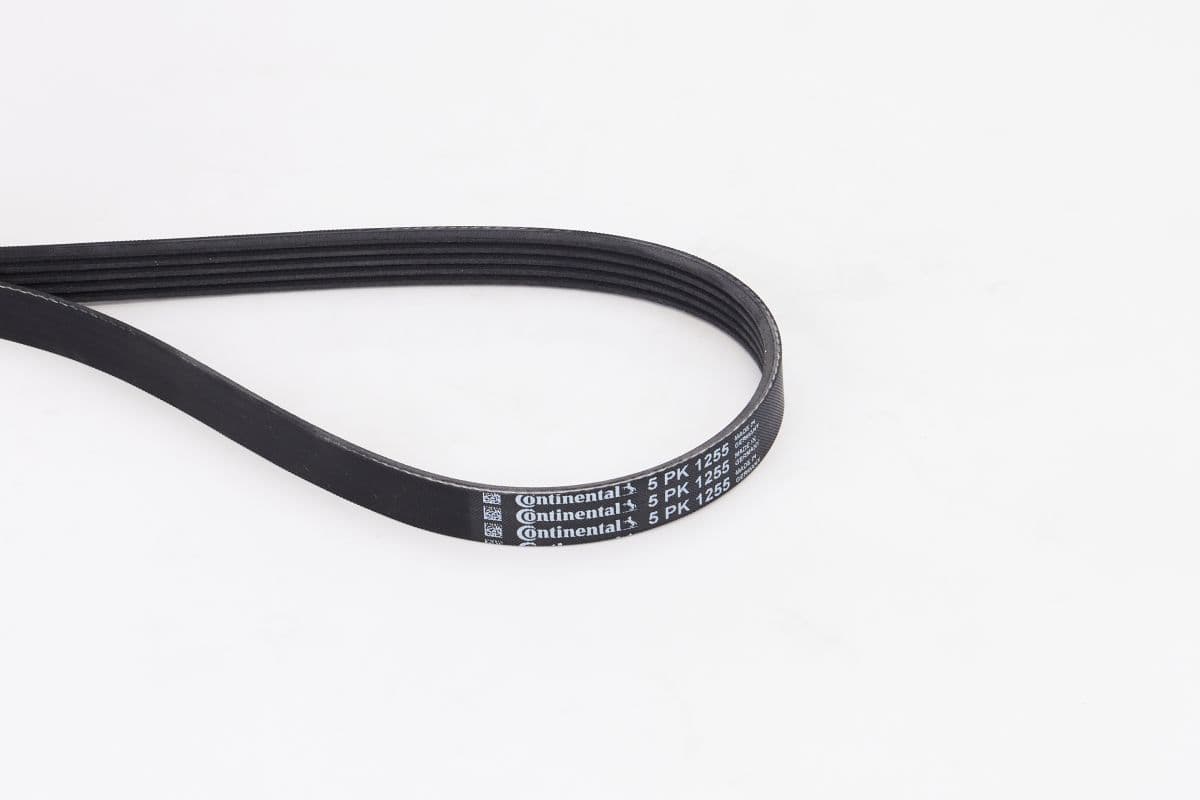 CONTINENTAL CTAM Keilrippenriemen 5PK1255 5PK1255 5 Rippen 1.255 mm