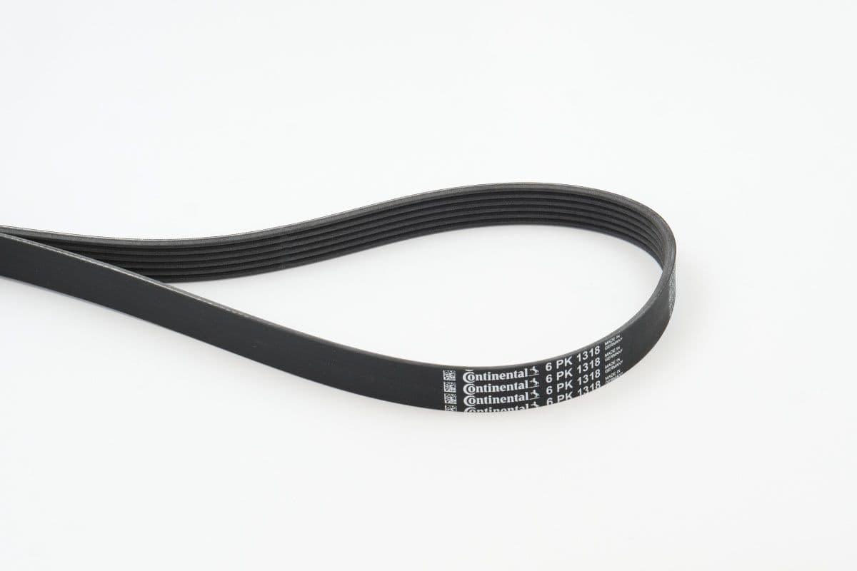 CONTINENTAL CTAM courroie Poly-V 6PK1318 6PK1318 6 nervures 1.318 mm
