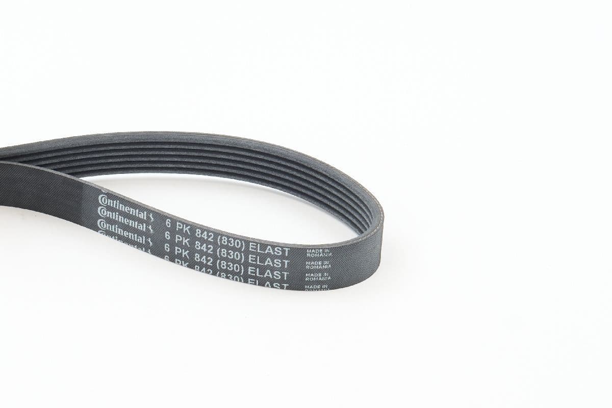 CONTINENTAL CTAM Keilrippenriemen 6PK842ELAST 6PK842 6 Rippen 842 mm
