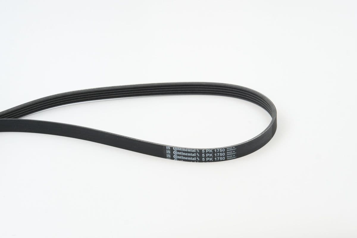 CONTINENTAL CTAM courroie Poly-V 5PK1750 5PK1750 5 nervures 1.750 mm