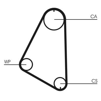 Zahnriemen CONTINENTAL CTAM CT526