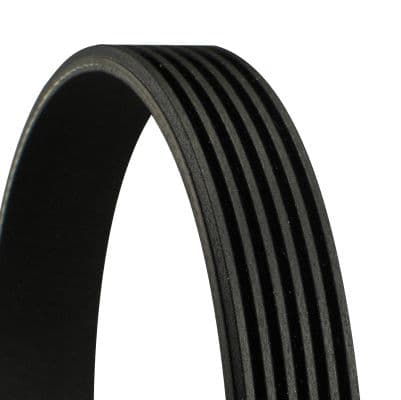 CONTINENTAL CTAM Keilrippenriemen 6PK1010 6PK1010 6 Rippen 1.010 mm
