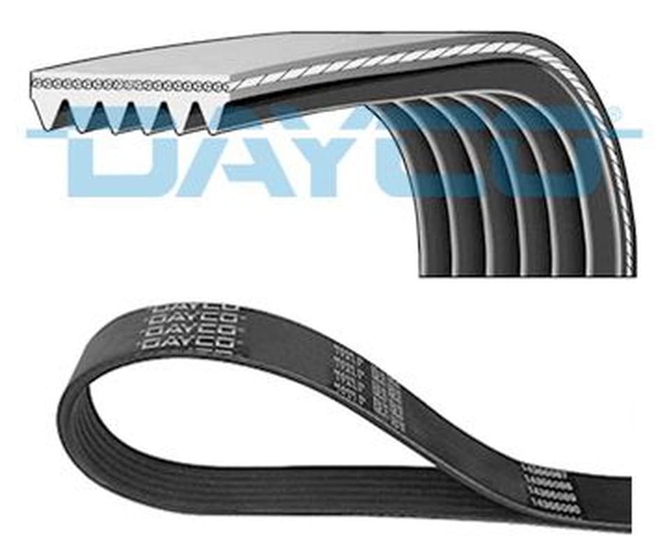 Courroie trapézoïdale DAYCO 6PK673