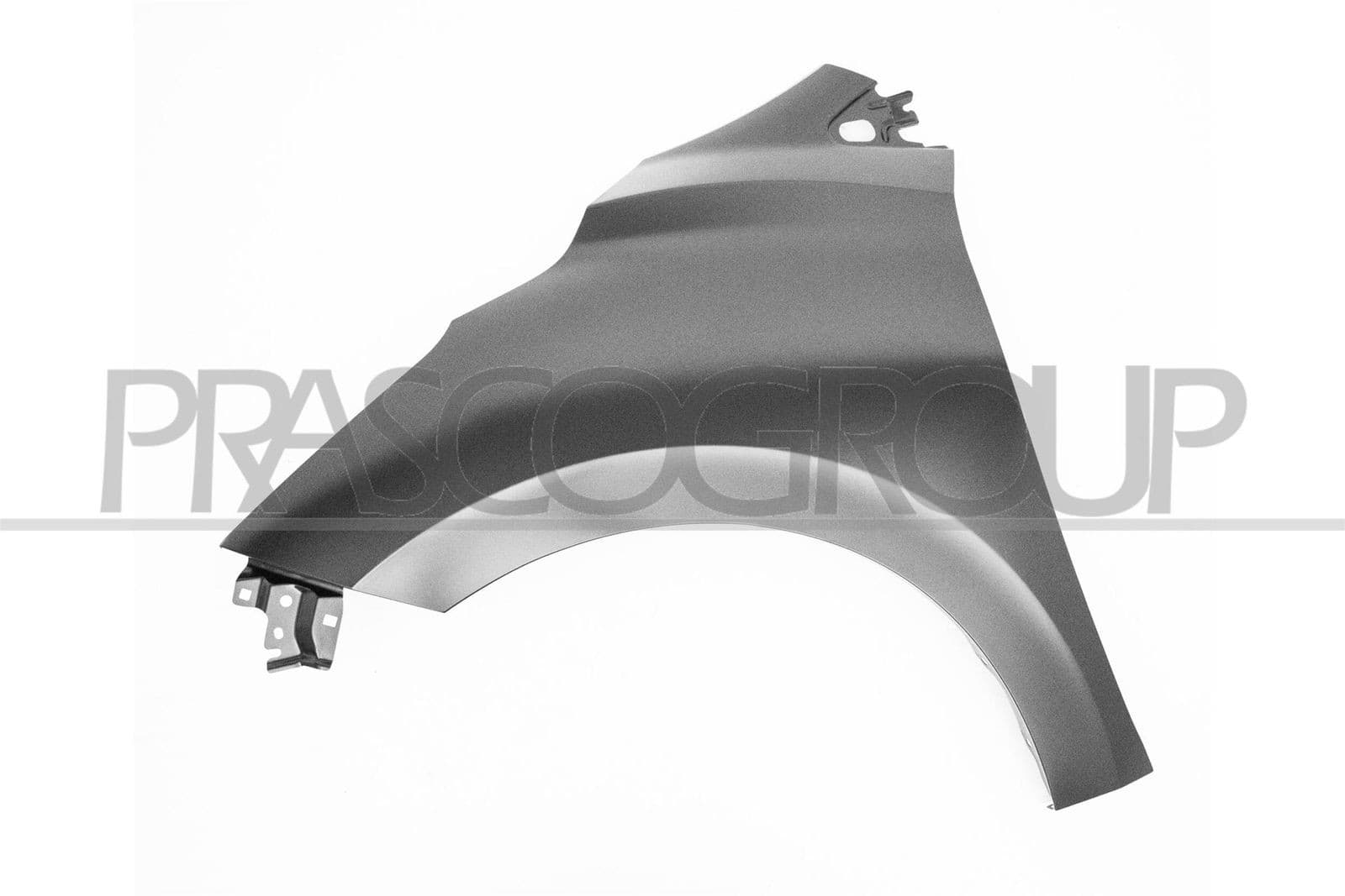 PRASCO Aile avant gauche DS0163004