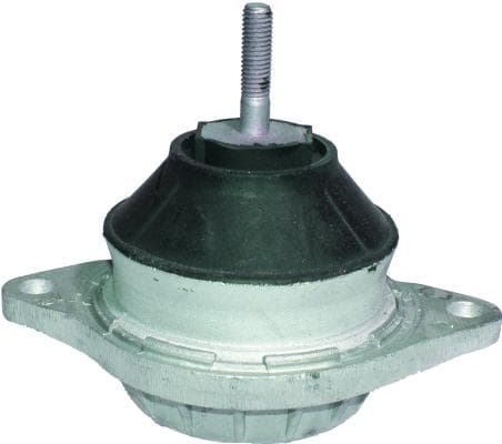 BIRTH Motorlager 5843 vorne beidseitig L145,8 H113 mm