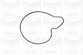 Graf Pompa Acqua Audi A4 Pa1050