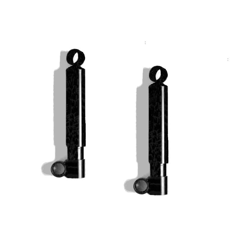 Stoßdämpfer-Set Hinten Monroe Fiat Panda I
