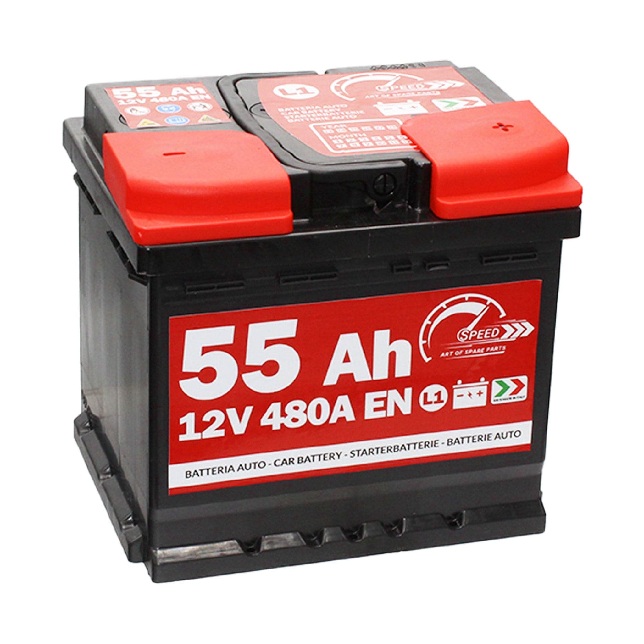 SPEED 7902179 Batterie auto plomb-acide 12V 55Ah 480A droite 207x175x190 mm