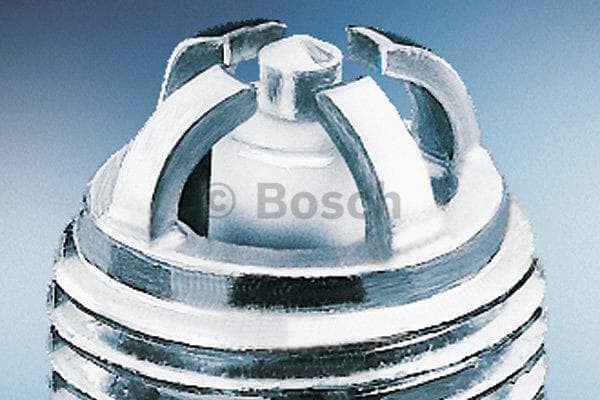 Bosch Candela 242232514