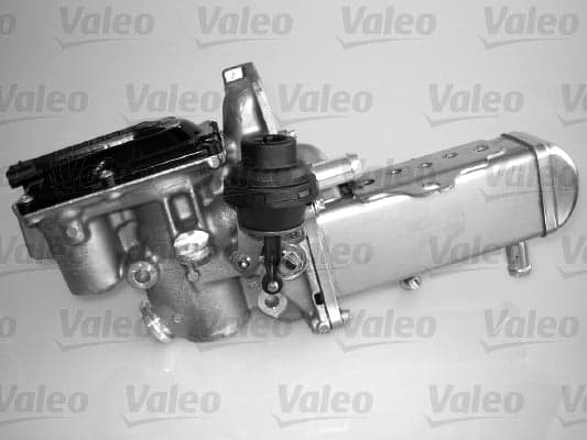 AGR-Modul VALEO 700436