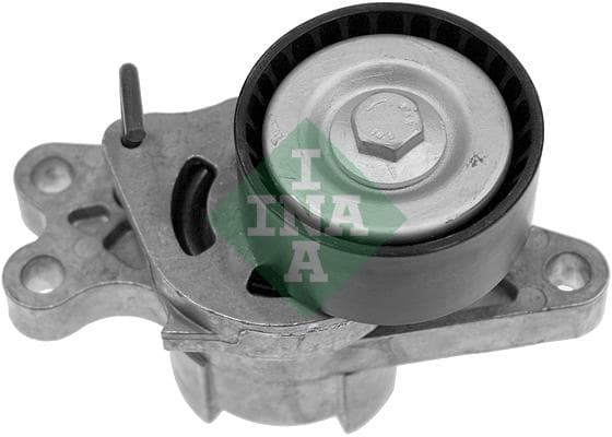 INA 534017910 tendeur courroie Poly-V diamètre 60 mm largeur 25 mm