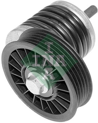 INA 534018510 tendeur courroie Poly-V diamètre 80 mm largeur 20 mm